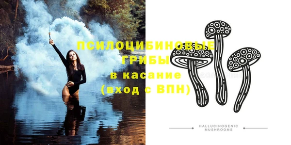 прущая мука Ладушкин